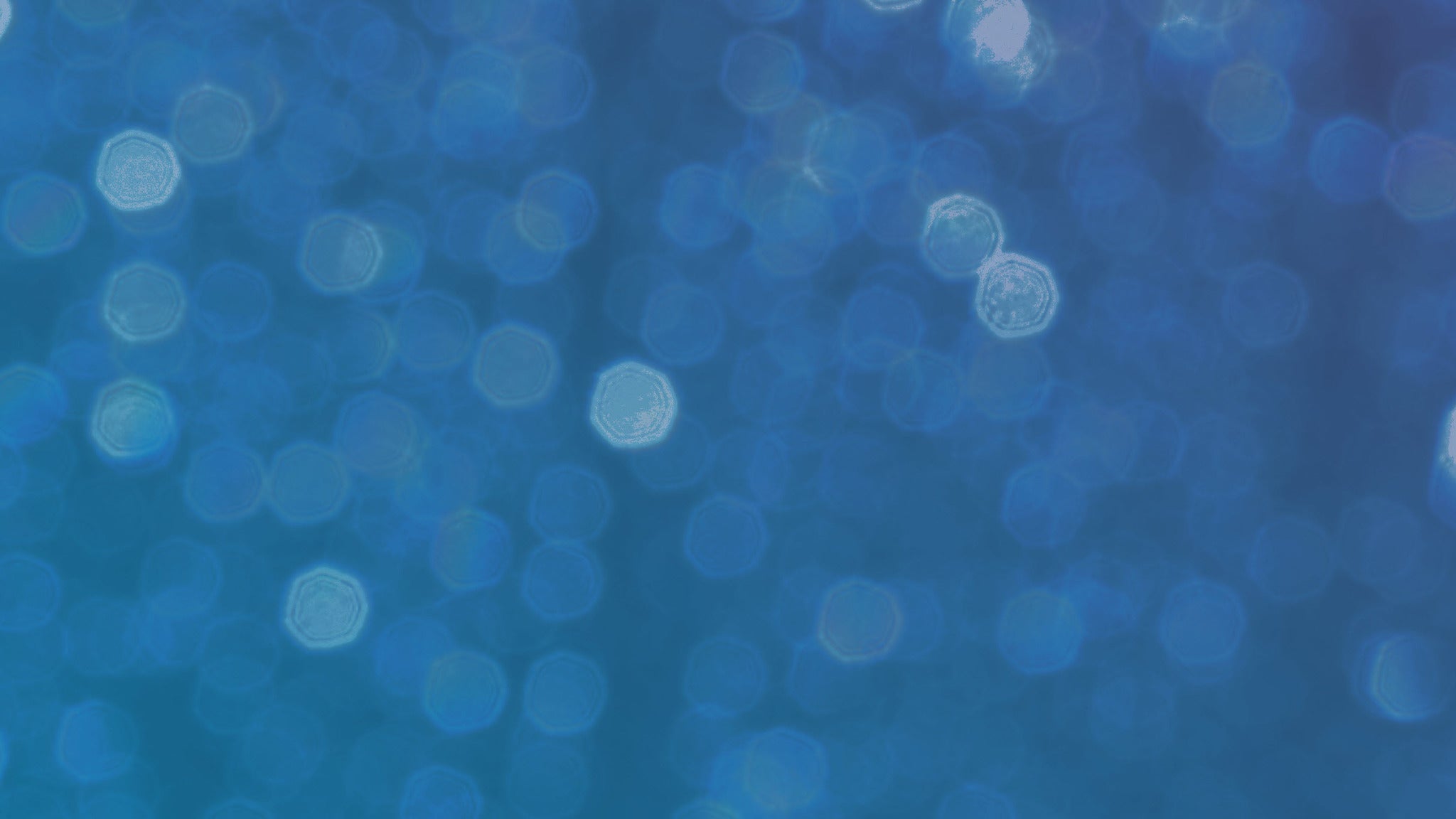 Sammy Hagar & Rick Springfield Sammy Hagar & Rick Springfield - Ruoff Music Center - 06060606 1414 2026202620262026